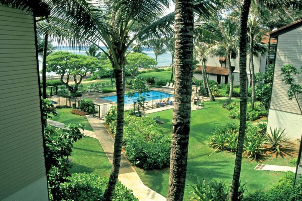 1Br Condo At Oceanfront Resort Kapaa Shore Kapa'a Esterno foto